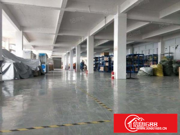 顺德伦教新出1楼厂房1000方，方正实用，一手房东，不拆迁