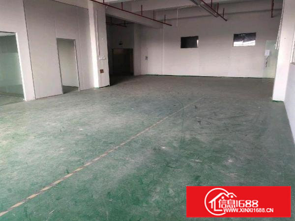 现成装修，豪华办公室