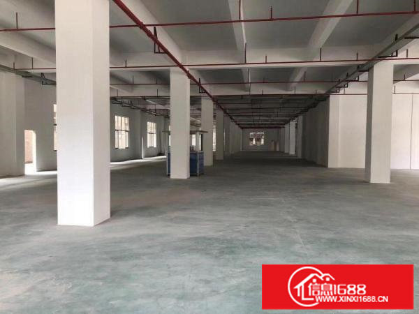 原房东！安良村新出960平厂房出租，空地大