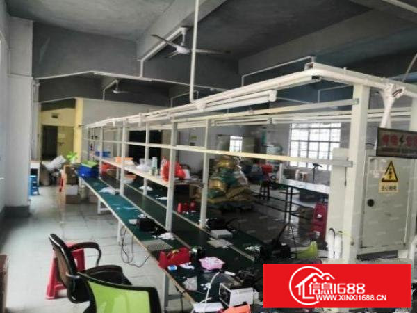 出租厂房楼上300平方带豪华办公室