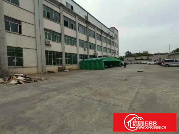 大岭山厚大路附近新出一楼1100平厂房出租形象好交通便利