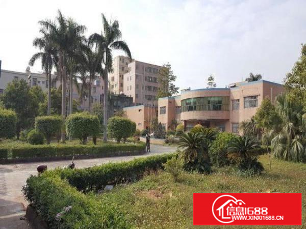 秋长花园式独栋2200平标准厂房出租大小可分