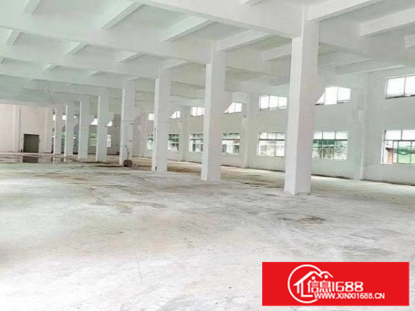 清溪浮岗新出一手独院厂房3层6000平出租可分租