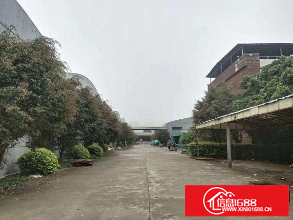 大岭山石大路边可办环评钢结构厂房6000平大小可分租位置好