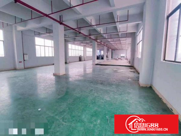 东深二线旁带装修厂房出租楼上整层2000平米价格实惠