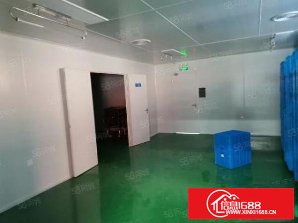 桥头镇稀有带豪华装修标准厂房出租