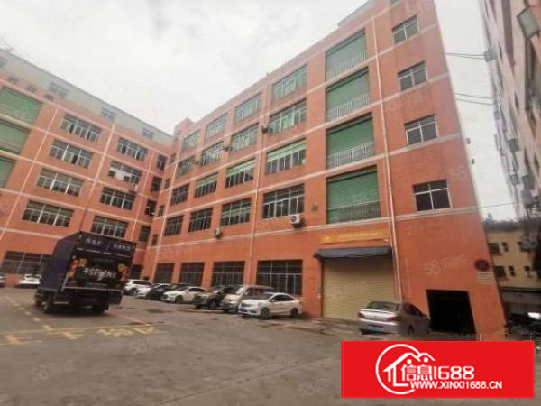 茶山新出全新独门独院原房东厂房交通便利一楼高7米牛角价格实惠