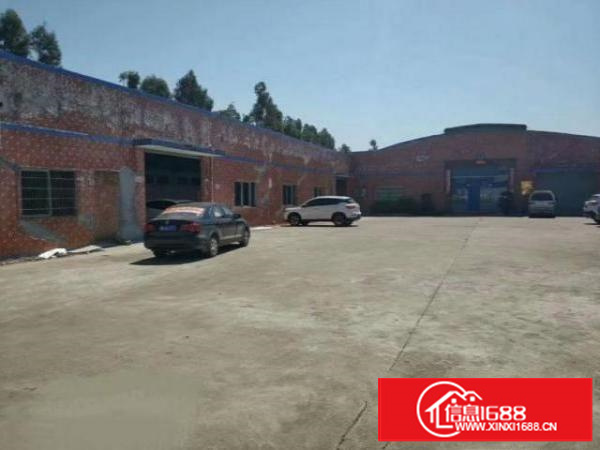 万江独院单一层钢结构铁皮2000平方厂房出租