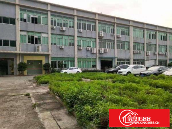 村头标准厂房一楼800平方出租