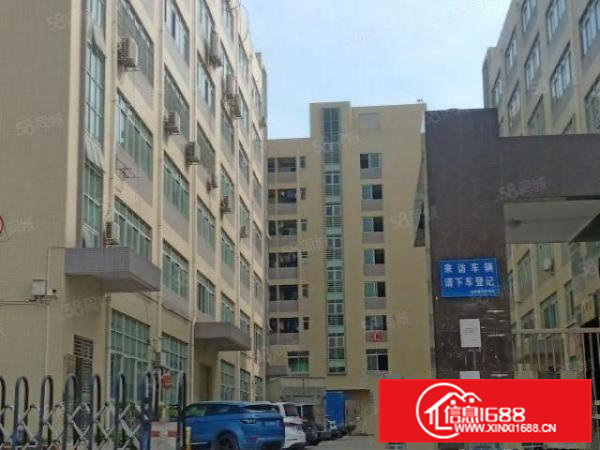 新出一手房东房源二楼标准厂房带现成水电装修两部标准电梯出租