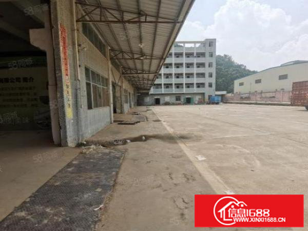 凤岗金凤凰村委独院8100平方超大空地层高8米200平起分