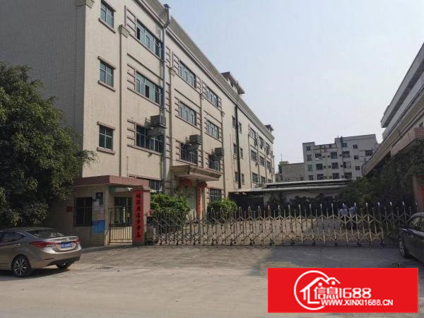 横沥西城三区原房东小独院厂房出租5000平方交通方便易招工