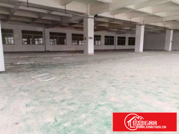 寮步霞边原房东标准独院厂房分租900平方带电梯