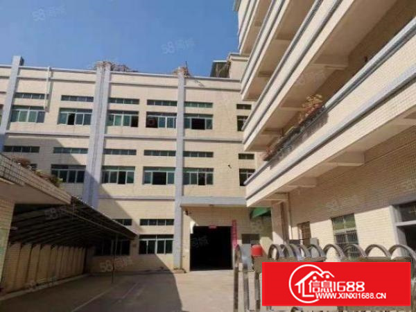 寮步浮竹山原房东标准小独院厂房2400平方出租.