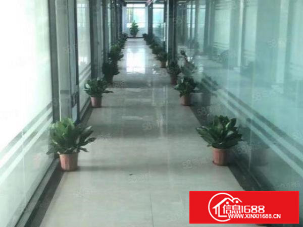 坪山大工业区一楼楼上10000平大小分租