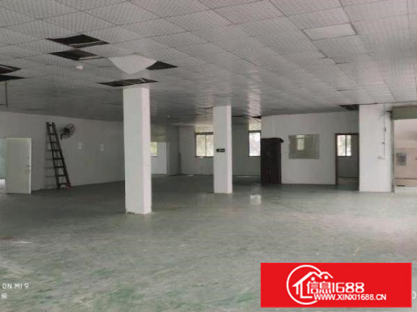 经典小独院！松岗沙浦二路125号