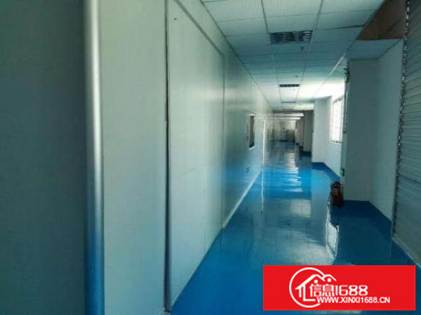 福永新和新出厂房2158平带豪华装修和无尘车间出租不要转让费