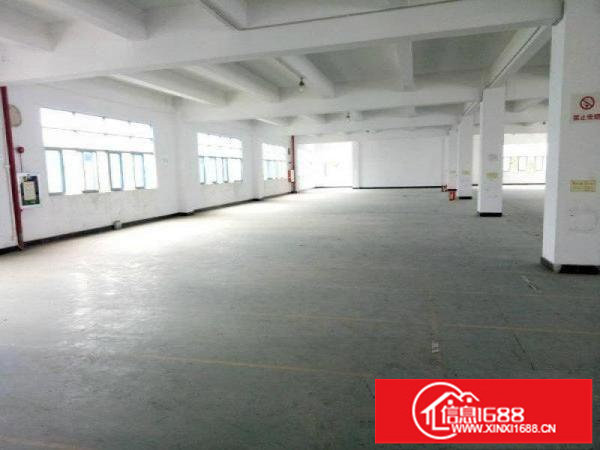 松岗塘下涌5600平大厂房出租，独门独院，实图