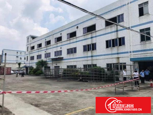 观澜新出独院厂房13层3200平，村委统建房，实际面积出租