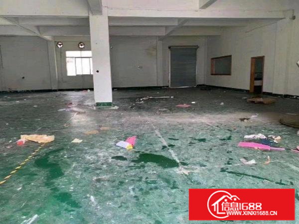 虎门南栅精品独门独院小独院1600平米