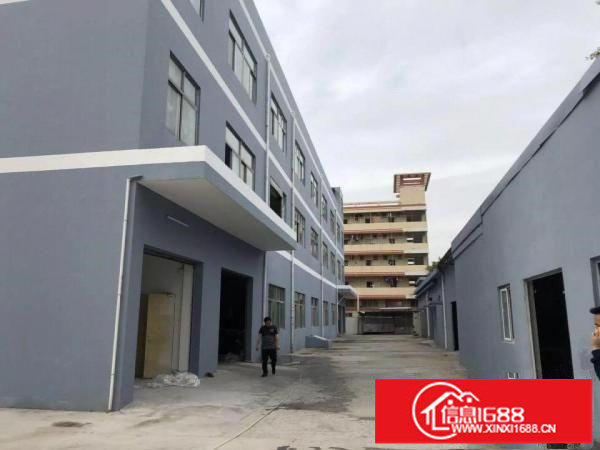 坑梓全新装修标准独院红本厂房6950平米诚租