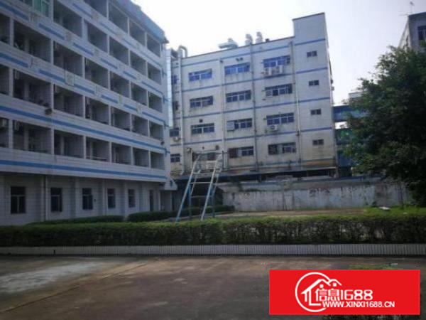 丹灶下安原房东一楼分租1350平