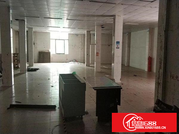 平湖鹅公岭村委厂房470平米房东免用直租