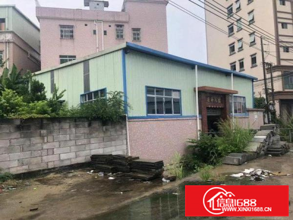 石湾单一层小独栋厂房出租，租金实惠，交通便利