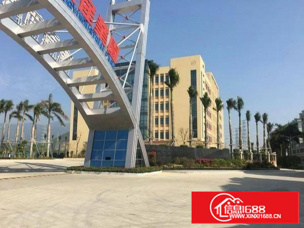 塘厦林村超豪华全新大型独院可整租可分成小独院