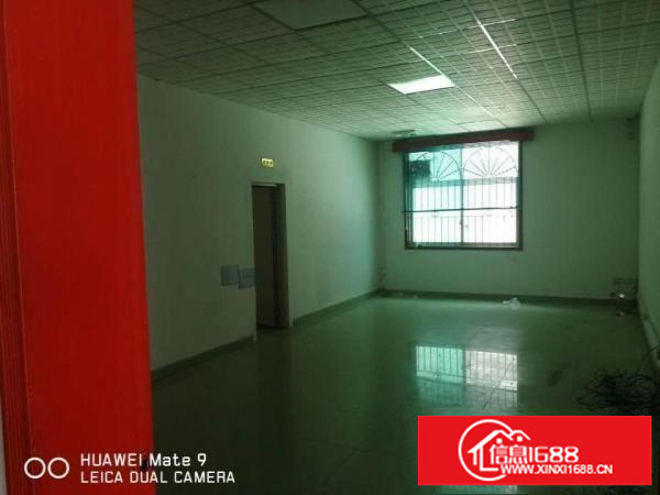 碧岭金碧路边厂房2700平米带前台可分租，办公室精装