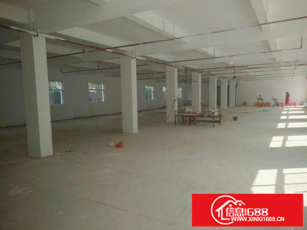原房东标准一楼1000平高5米带三吨电梯有空地