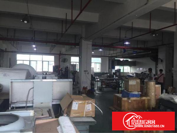 坂田新出1000平一楼物流仓库可分租500平