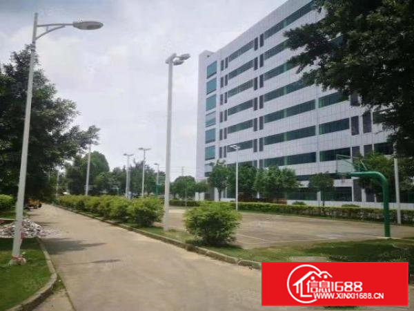 桥头全新红本国土证标准厂房，上市公司，高新科技园区福地