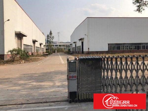 常黄路东深路旁钢结构25000平米