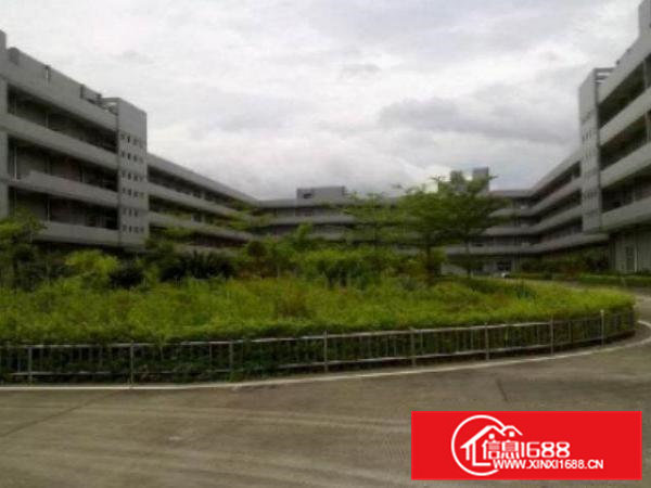 高埗标准一楼600或1000平方招租带现成办公室装修