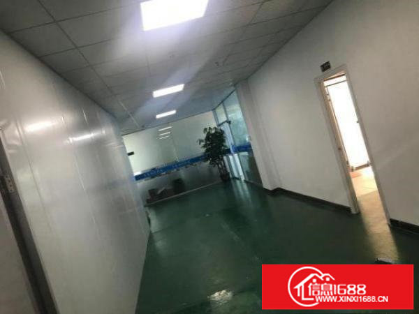 出租龙岗区平湖精装无尘车间厂房