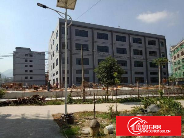 仲恺、沥林镇全新标准厂房7800平方招租！