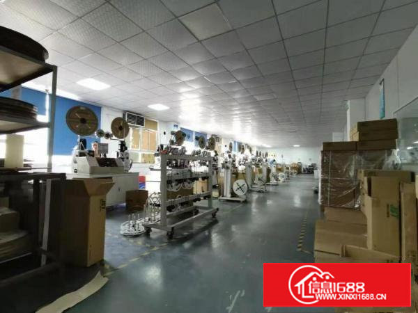 塘厦龙背岭1400平方米 标准2楼厂房 面积实在 办公室装修