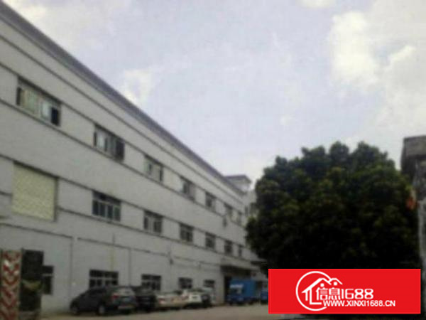 楼上1000平米楼上厂房出租可做电子贸易现成水电线路，办公装