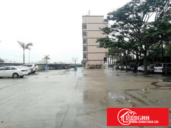 现成地坪漆和办公室！龙岗龙西楼上380平租6200