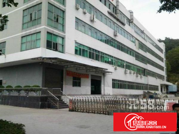 坂田中心新出一楼1000平花园式厂房仓库招租