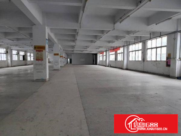 塘厦沙湖独院标准1楼700平方！现成主线，办公室装修