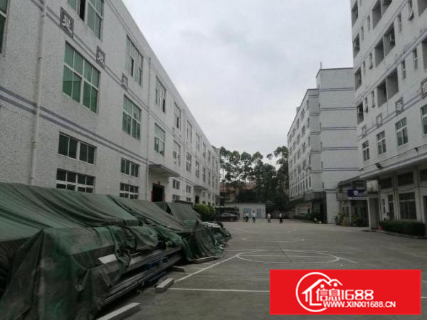 秋长白石33000平米标准厂房大小分租带喷油房