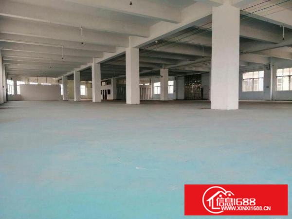 高埗独院标准一楼2000平方厂房带现成装修出租空地大，宿舍按