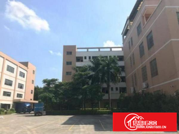 石排城区新开发区