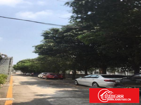 横岗地铁口.小户型110平米，精装修出租