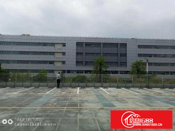 潼湖，全新红本产业园60000平大小隆重招租