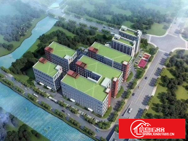 大朗镇全新大型园区厂房招租