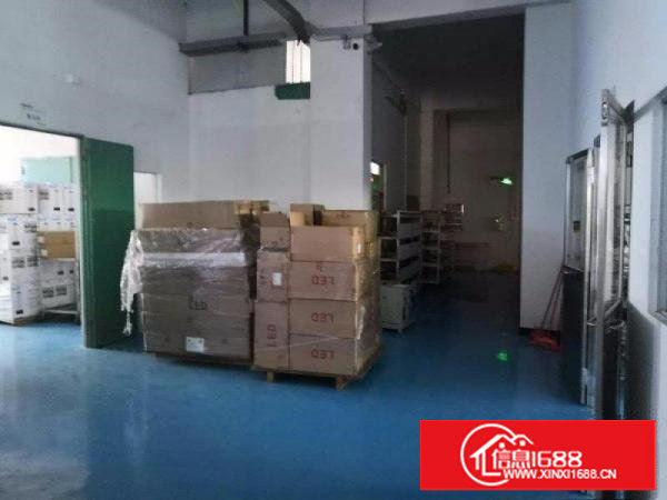 塘厦厂房出租:免装修 科苑城1000平方米一楼标准厂房