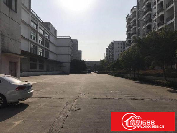 出租！坑梓一楼标准厂房6.5米高，仅此一家